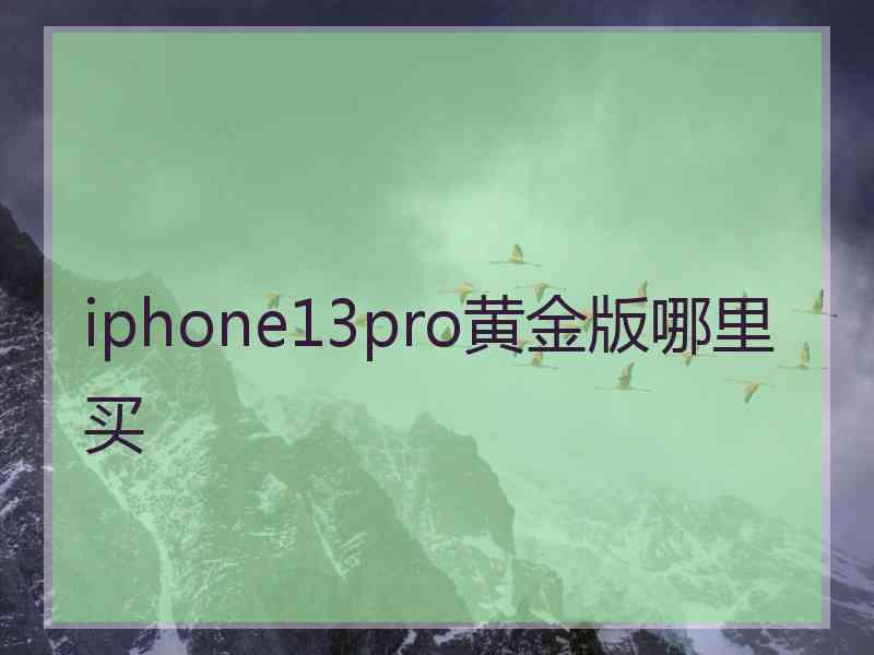 iphone13pro黄金版哪里买