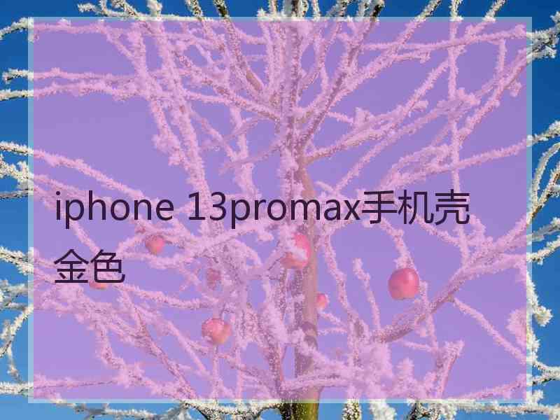 iphone 13promax手机壳 金色