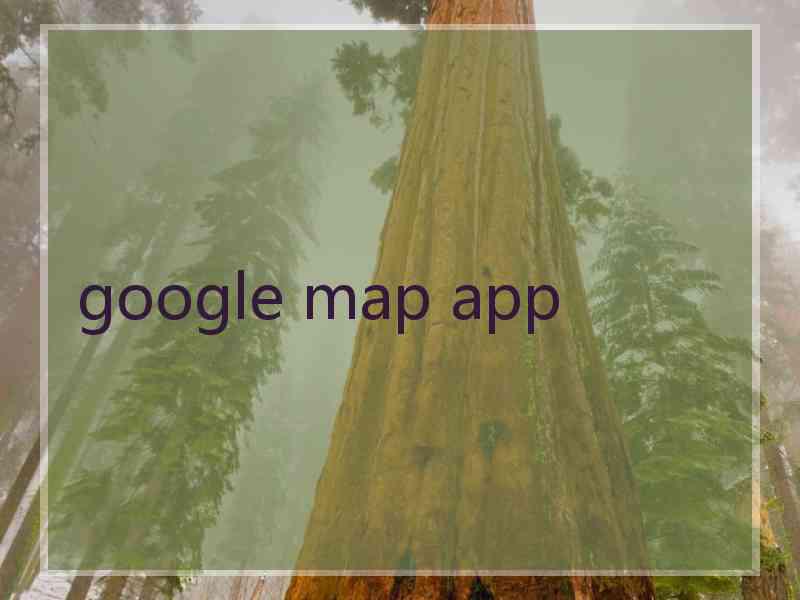 google map app