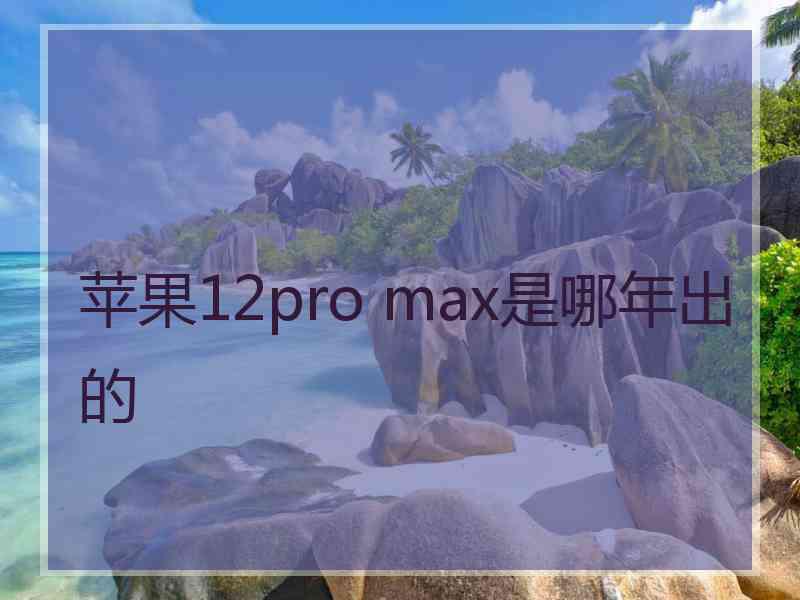 苹果12pro max是哪年出的