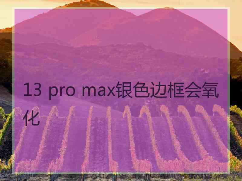 13 pro max银色边框会氧化