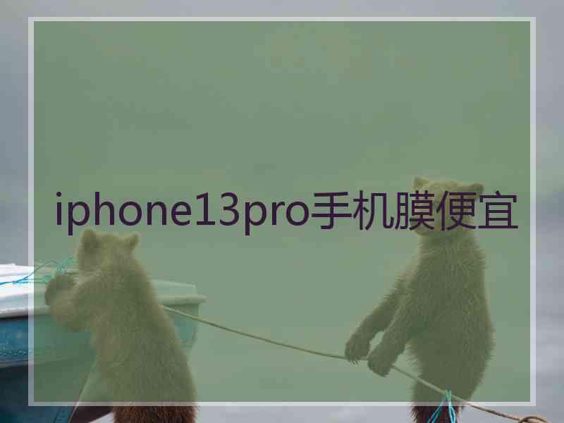 iphone13pro手机膜便宜