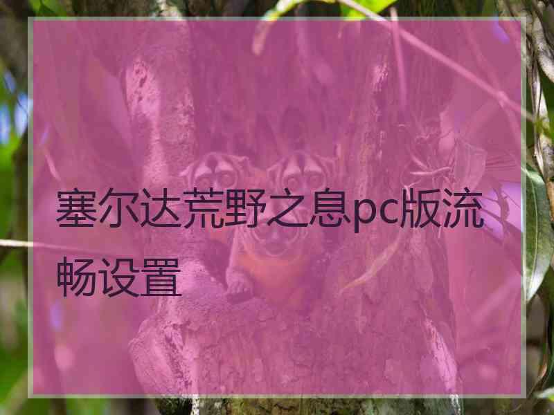 塞尔达荒野之息pc版流畅设置