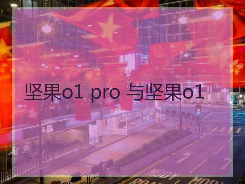 坚果o1 pro 与坚果o1