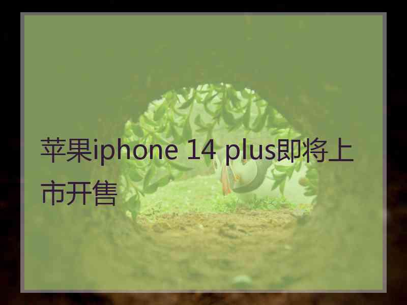 苹果iphone 14 plus即将上市开售