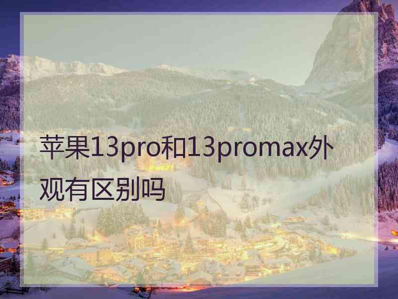 苹果13pro和13promax外观有区别吗