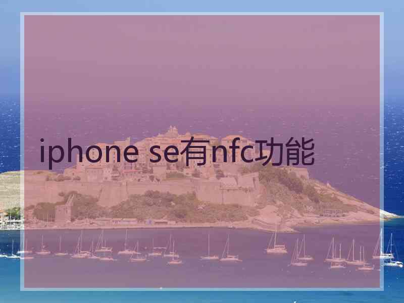 iphone se有nfc功能