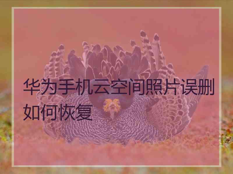 华为手机云空间照片误删如何恢复