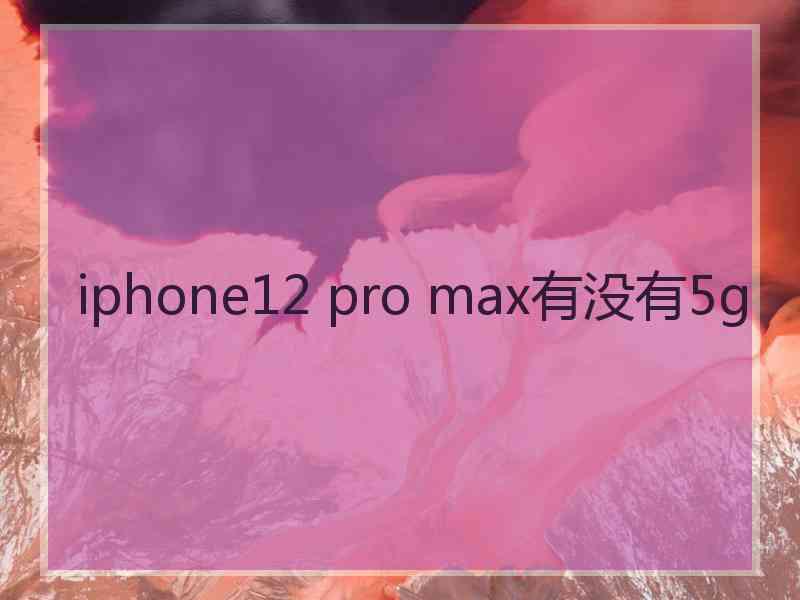 iphone12 pro max有没有5g