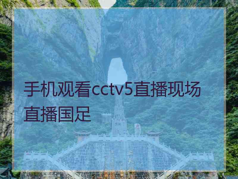 手机观看cctv5直播现场直播国足