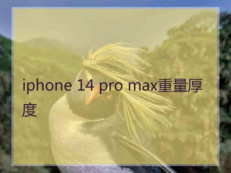 iphone 14 pro max重量厚度