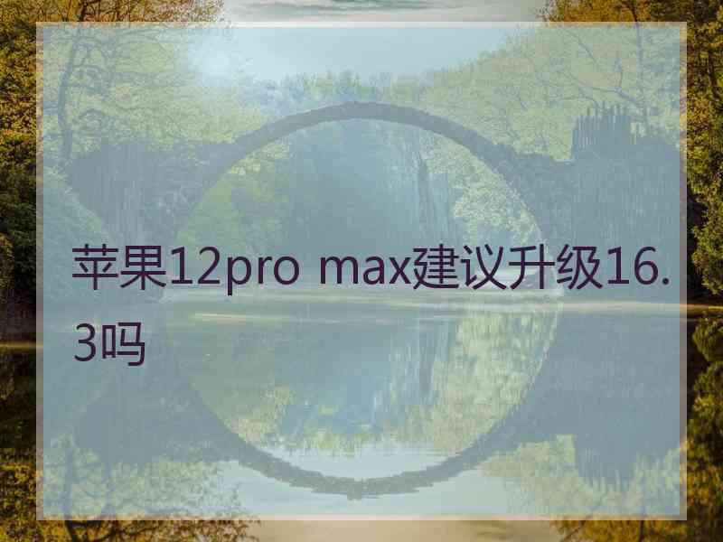 苹果12pro max建议升级16.3吗