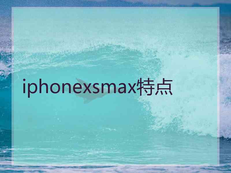 iphonexsmax特点