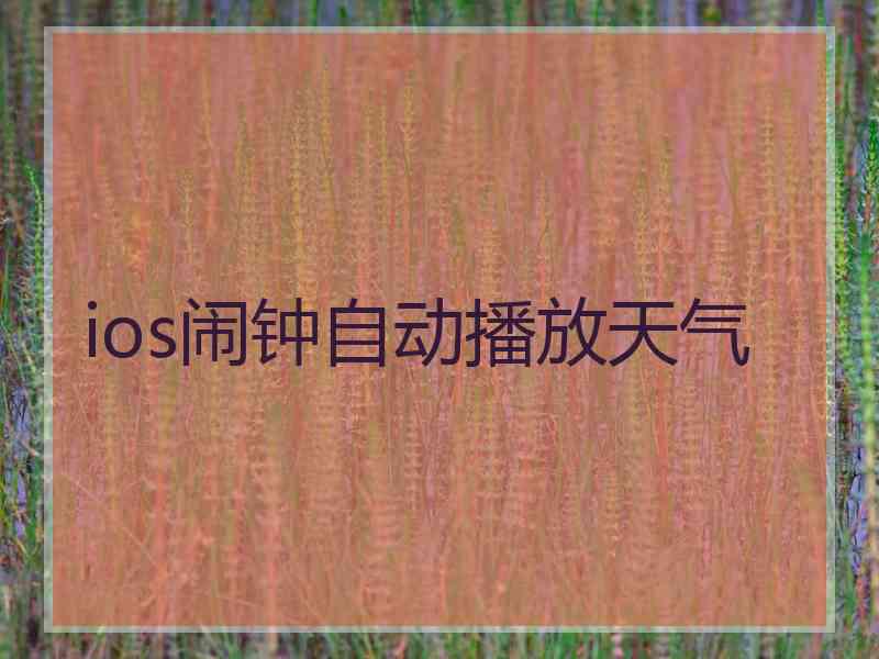 ios闹钟自动播放天气