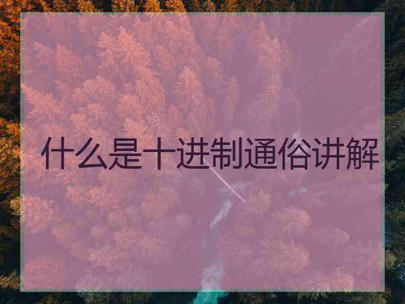 什么是十进制通俗讲解