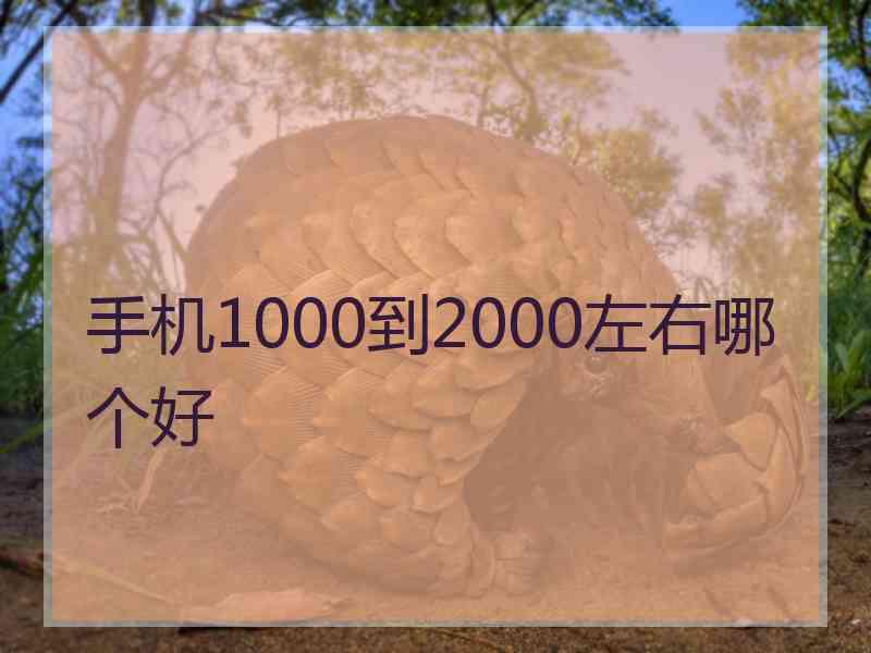 手机1000到2000左右哪个好