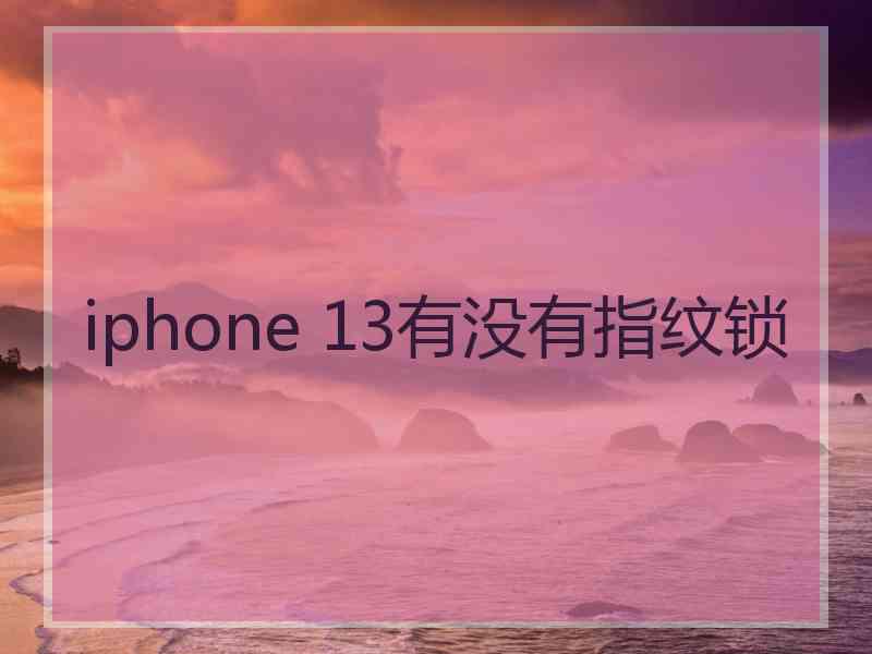 iphone 13有没有指纹锁