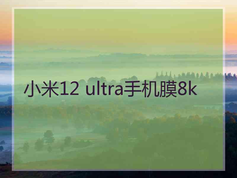 小米12 ultra手机膜8k