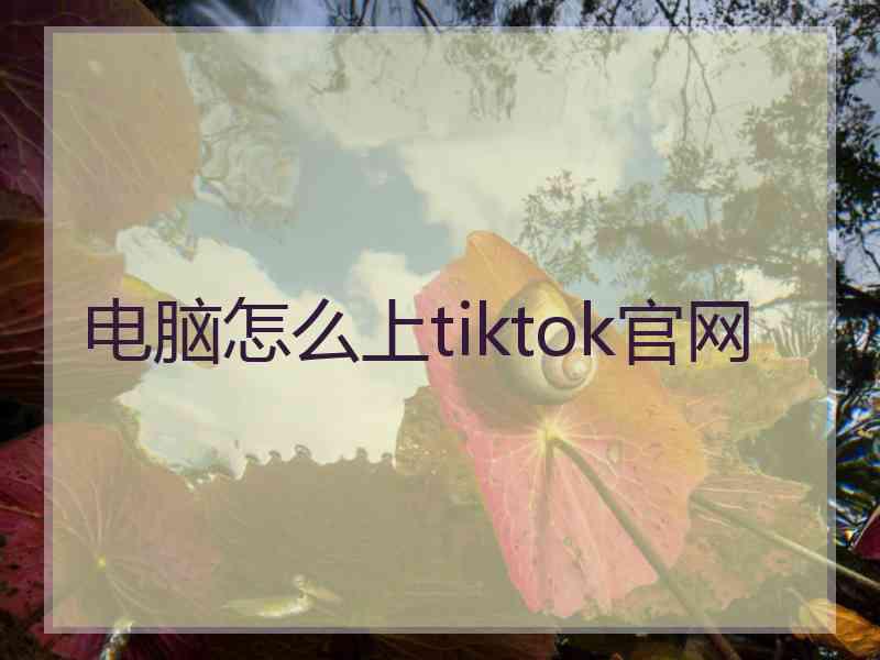 电脑怎么上tiktok官网