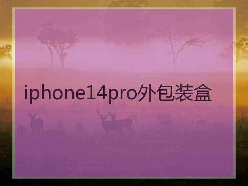 iphone14pro外包装盒