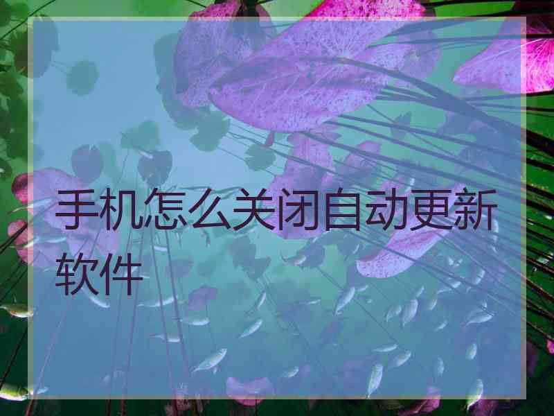 手机怎么关闭自动更新软件