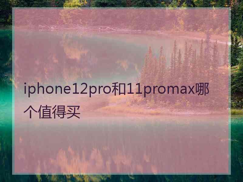 iphone12pro和11promax哪个值得买