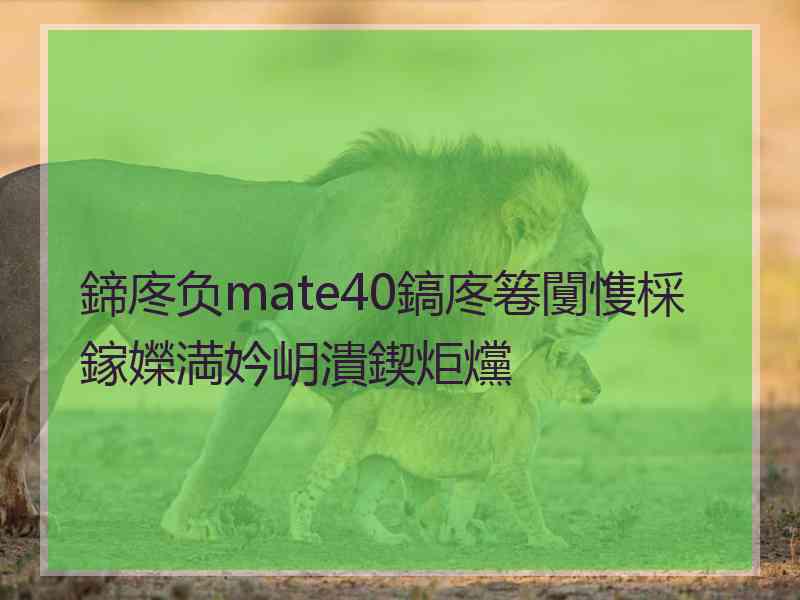 鍗庝负mate40鎬庝箞闅愯棌鎵嬫満妗岄潰鍥炬爣