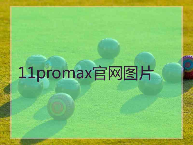 11promax官网图片