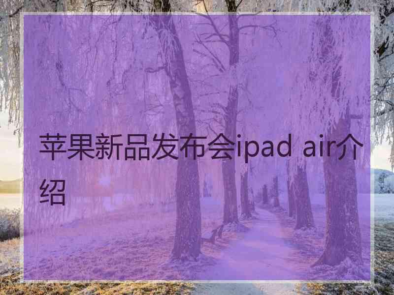 苹果新品发布会ipad air介绍