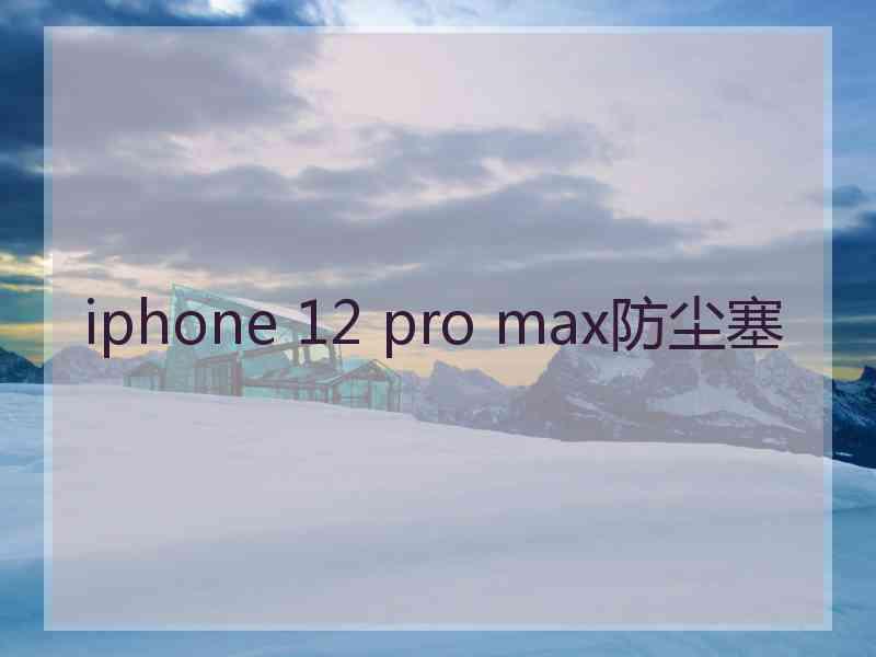 iphone 12 pro max防尘塞