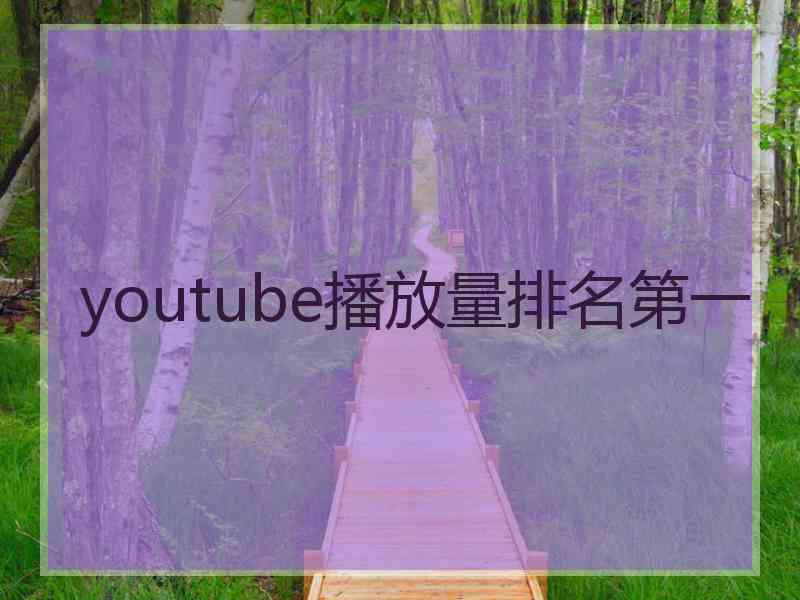 youtube播放量排名第一