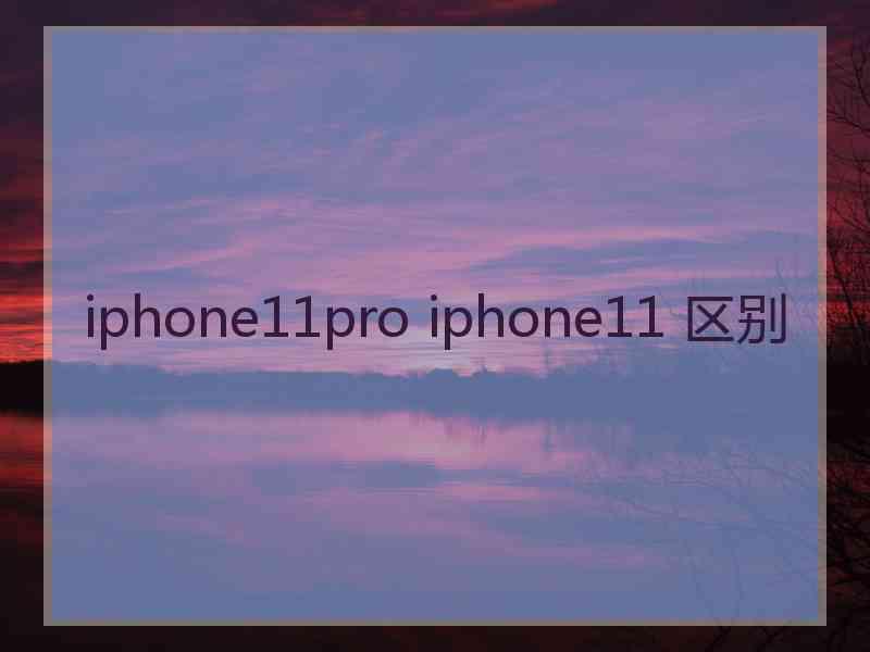 iphone11pro iphone11 区别