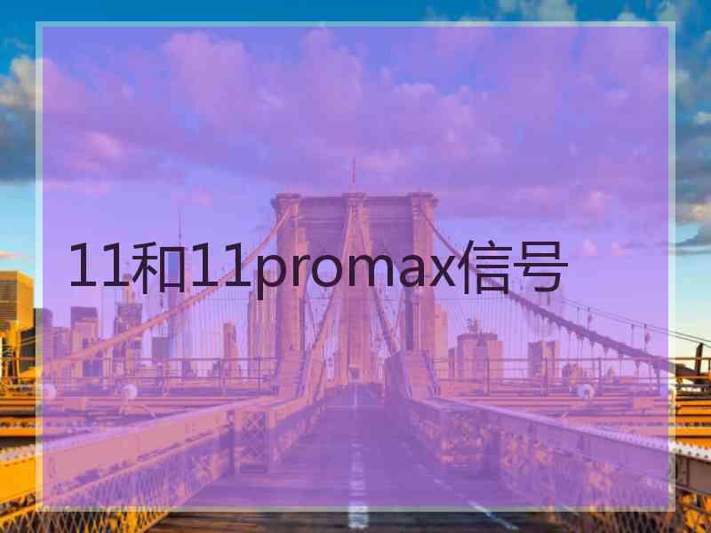 11和11promax信号