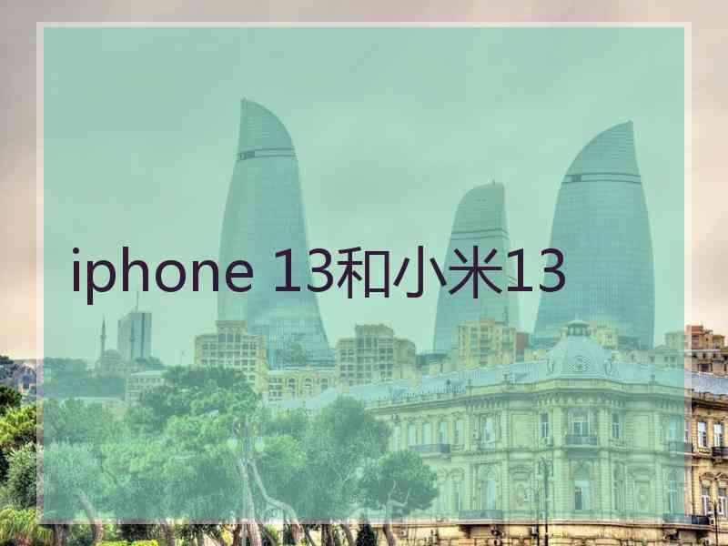 iphone 13和小米13