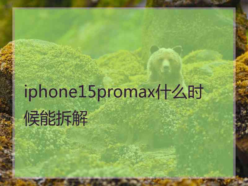 iphone15promax什么时候能拆解