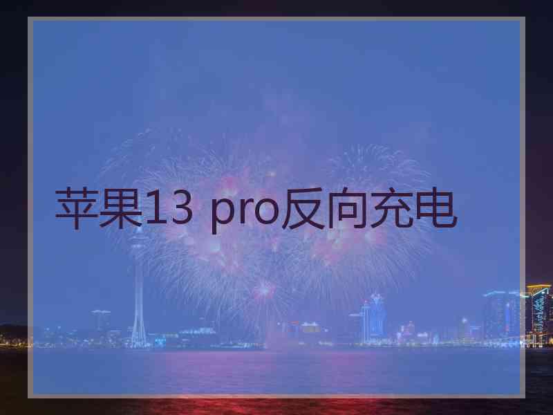 苹果13 pro反向充电