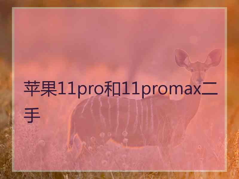 苹果11pro和11promax二手