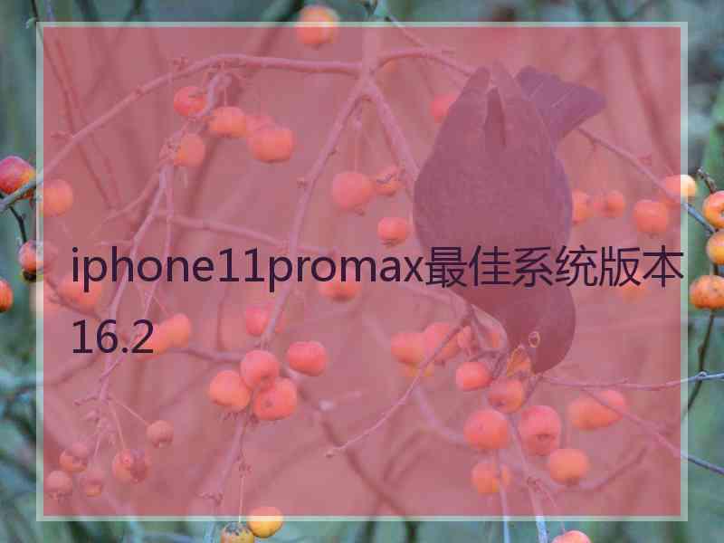 iphone11promax最佳系统版本16.2