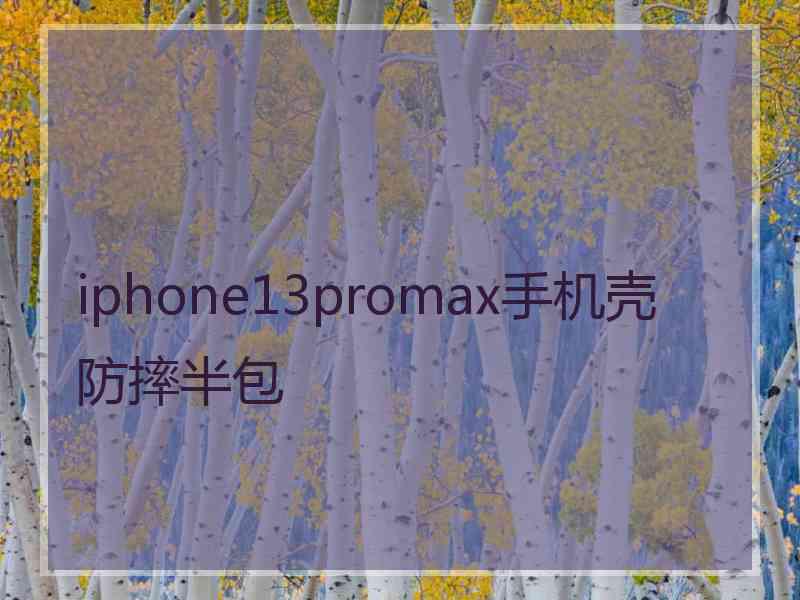 iphone13promax手机壳防摔半包