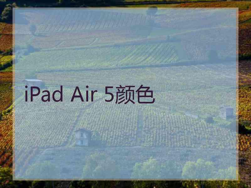 iPad Air 5颜色