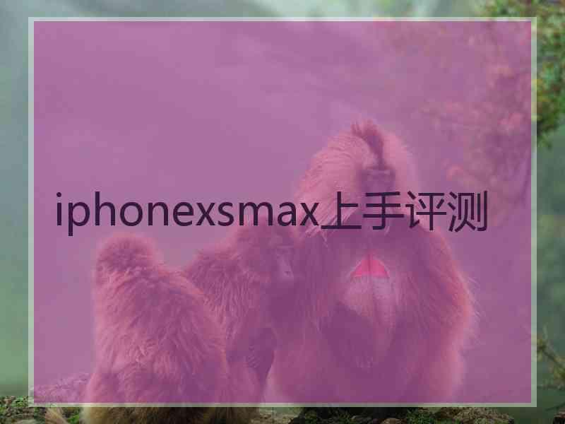 iphonexsmax上手评测