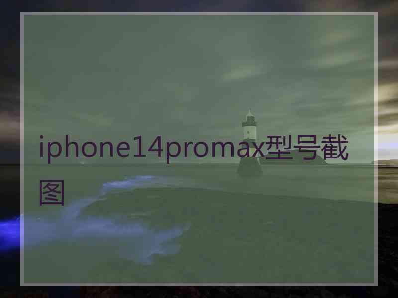 iphone14promax型号截图