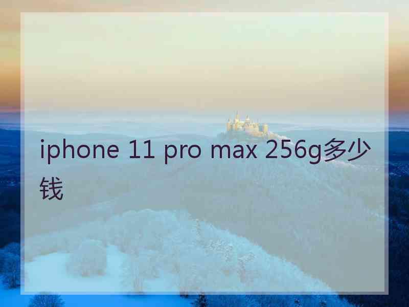 iphone 11 pro max 256g多少钱