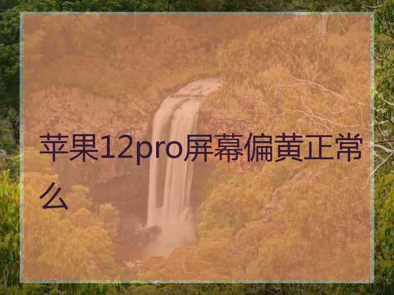 苹果12pro屏幕偏黄正常么