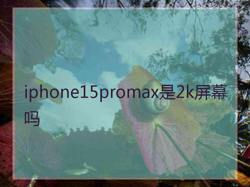 iphone15promax是2k屏幕吗