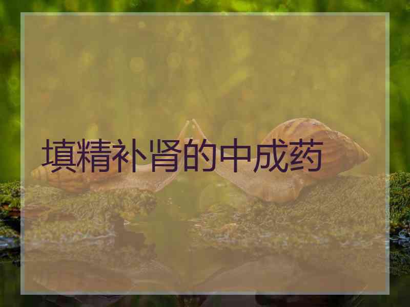 填精补肾的中成药