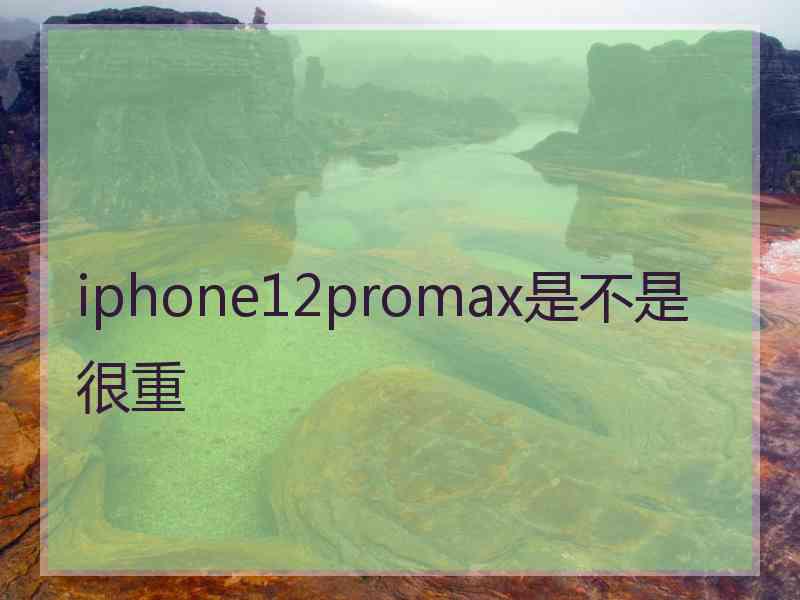 iphone12promax是不是很重