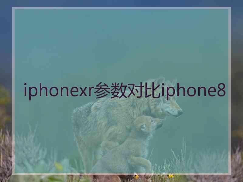 iphonexr参数对比iphone8