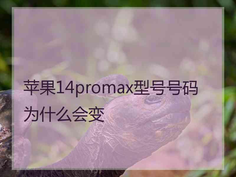 苹果14promax型号号码为什么会变