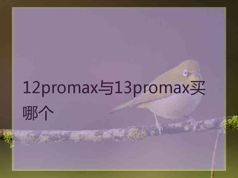 12promax与13promax买哪个